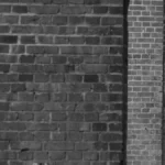 Unbekanntes Rüsseltier