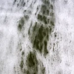 gefrorenes Eis auf einer Wiese